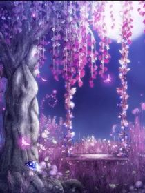 紫凌花语