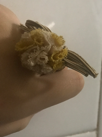 100个幻想