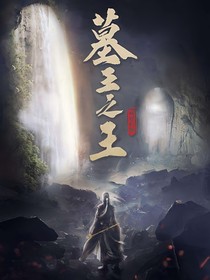 墓王之王之沐雪离城去