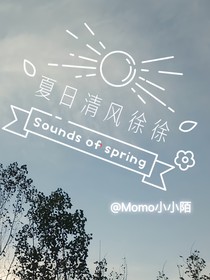 夏日清风徐徐
