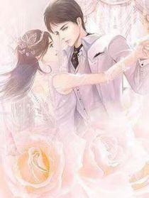 君爷的小娇妻