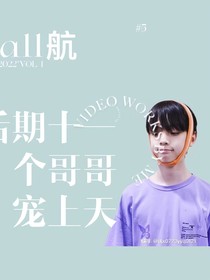 all航：后期十一个哥哥宠上天