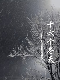 十六个冬天