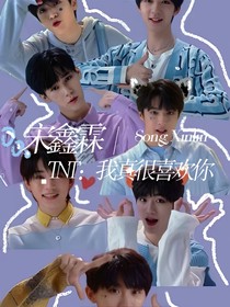TNT：我真很喜欢你