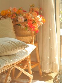 盗笔之从结婚开始恋爱