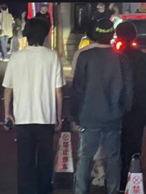 吻轩：梅