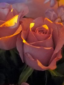 小短文：