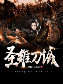 圣維刀域