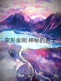 变形金刚：神秘的勇士-d041