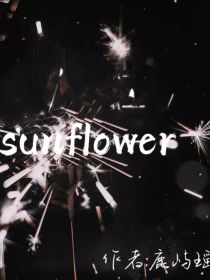童瑶：sunflower