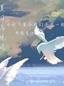 夏日與晚風(fēng)