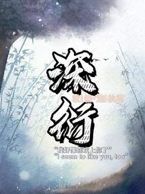 深衍-d454