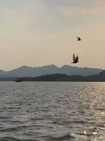 叶罗丽群聊吖