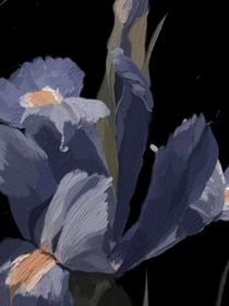 嘉末