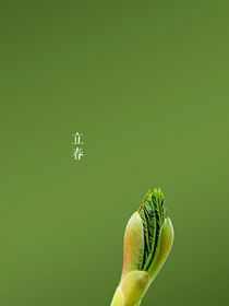 宝贝，哥哥对不起你