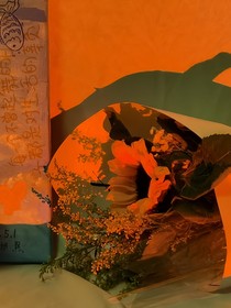 辰程