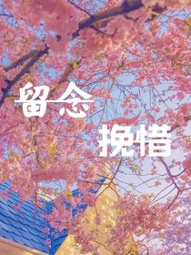 留念挽惜