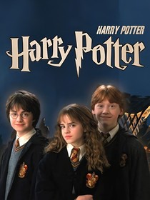 HP同人：叶总会落