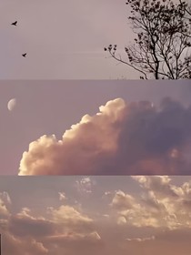 贺峻霖：满目山河唯独向往你