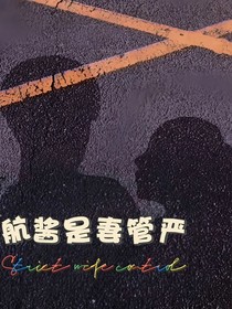 本书已弃移步新作品