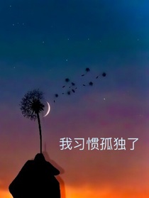 我习惯孤独了