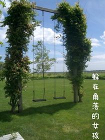 躲在角落的女孩