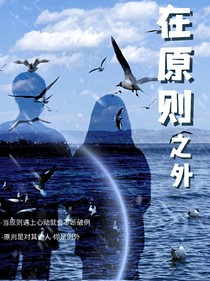 在原则之外