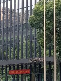 我的名字是楼宠