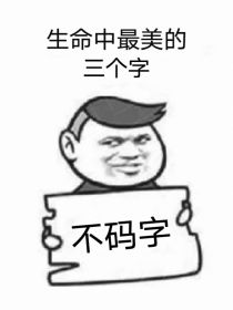 万恶的码字