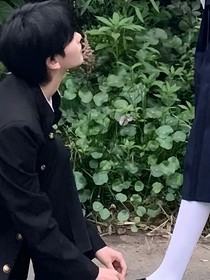 夏天味的草莓