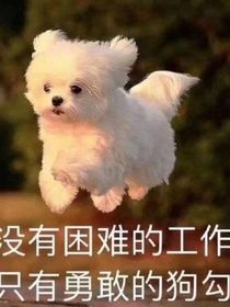 队长，早上好