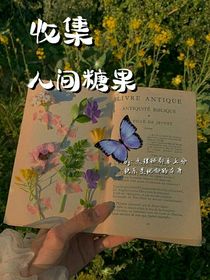 收集人间糖果（后续