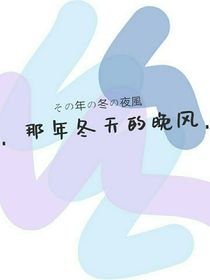 那年冬天的晚风