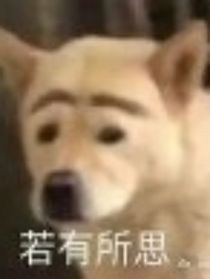 谢TM日记