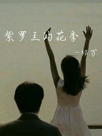 紫罗兰的花季