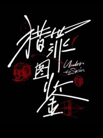 猎罪图鉴：时光碎片