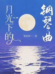 月光下的钢琴曲