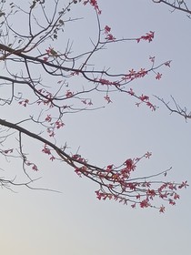 你也要负我