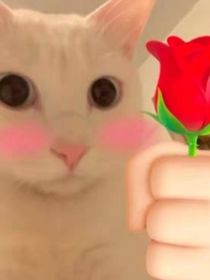 忍者也會撩