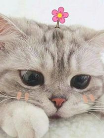 独世剑仙