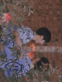 落在爱情的海里