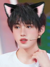 all轩：重生后变猫猫