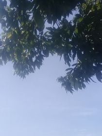 书名正在修改1651759704954936678