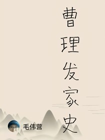 曹理發(fā)家史