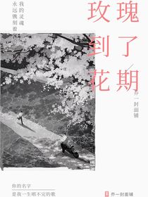 玫瑰到了花期——