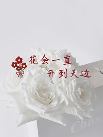花會一直開到天邊