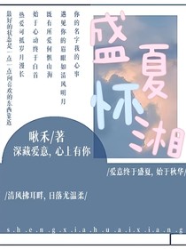 盛夏怀湘