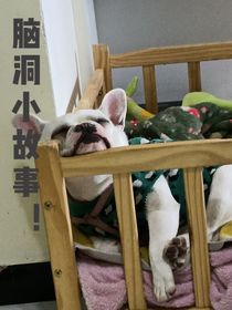 啾啾的腦洞小故事