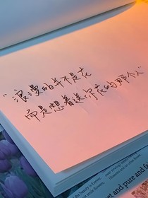 爆甲戰(zhàn)陀：不入輪回