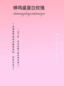 蟬鳴盛夏白玫瑰
